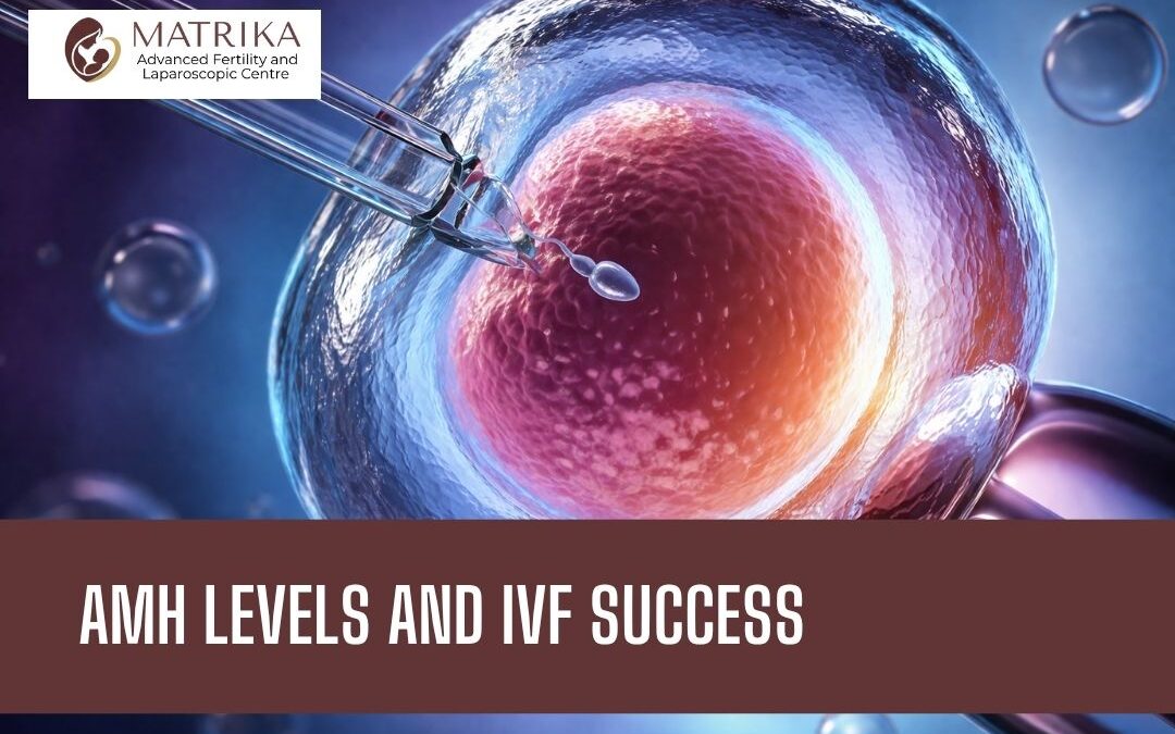 What do AMH levels reveal about your IVF success rate?
