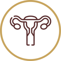 Ovarian stimulation step – hormone injections and follicular monitoring at Matrika Advanced Fertility and Laparoscopic Centre, Kondapur