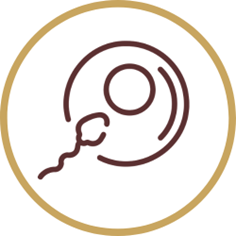 Fertilisation in embryology lab step – IVF and ICSI at Matrika Advanced Fertility and Laparoscopic Centre, Kondapur, Hyderabad