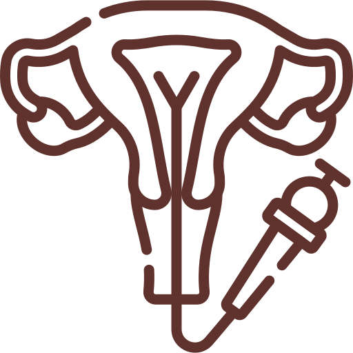 Line drawing of a uterus with fallopian tubes and a syringe symbol beside it, indicating a medical procedure related to female reproductive health.