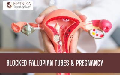 Blocked Fallopian Tubes & Pregnancy