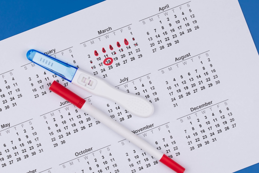 Pregnancy test lay on a multi-month calendar, suggesting planning or checking dates for pregnancy.