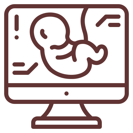 Monitor displaying a fetal silhouette, representing fetal monitoring or prenatal care.