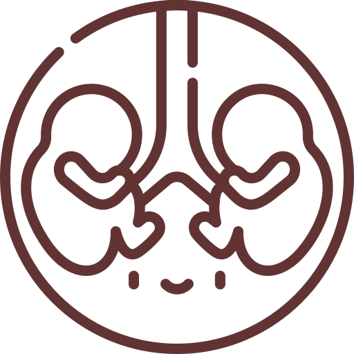 Minimalist icon of two kidneys inside a circle, suggesting a kidney-related medical symbol.