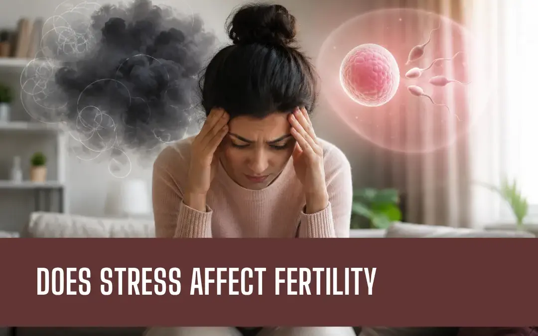 Woman sits distressed, hands on temples, with stress graphics and a fertilization illustration beside her; banner reads 'Does Stress Affect Fertility'.