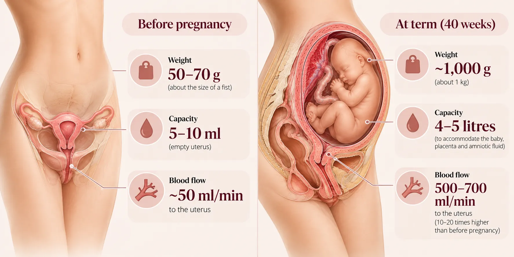 Infographic 4